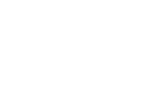 سازمان نظام صنفی رایانه‌ای کشور